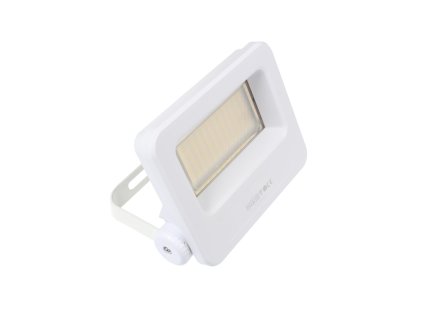 LED reflektor FW15W bílý 15W DENNÍ BÍLÁ 103722