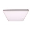 bily ram pro led panel