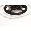led pro rostliny