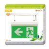 LED nouzové svítidlo ALPHA 2W 3hod STUDENÁ BÍLÁ TL939LM-LED/D