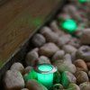 Zapichovací solární osvětlení SMART ESTRELAS RGB Bluetooth TUYA immax 07905L