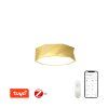 Immax NEO DIAMANTE Smart stropní svítidlo 40cm W zlaté Zigbee 3.0