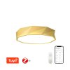 Immax NEO DIAMANTE Smart stropní svítidlo 60cm W zlaté Zigbee 3.0