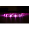 Immax NEO LITE Smart LED pásek 10m, RGB+CCT, barevný+stmívatelný, WiFi, Dál.ovladač, MUSIC