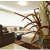 735 6W141 IMAGE